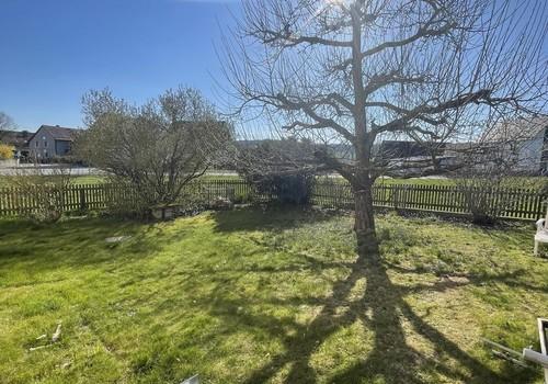 Garten mit Apfelbaum