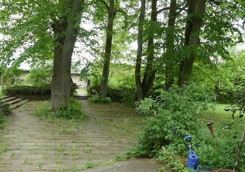 Lindenplatz vor dem Haus