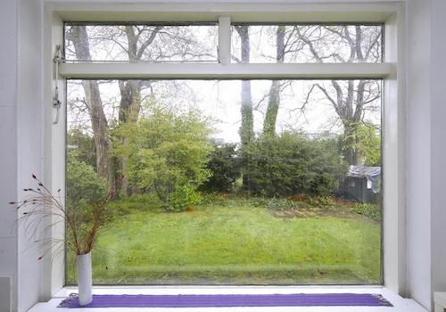 Blick in den Hintergarten