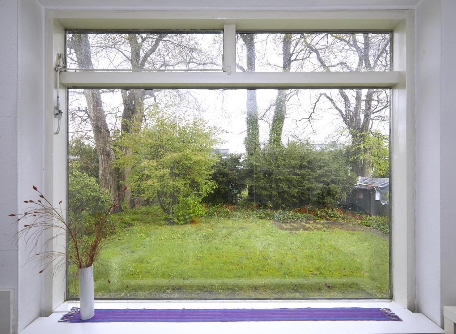 Blick in den Hintergarten