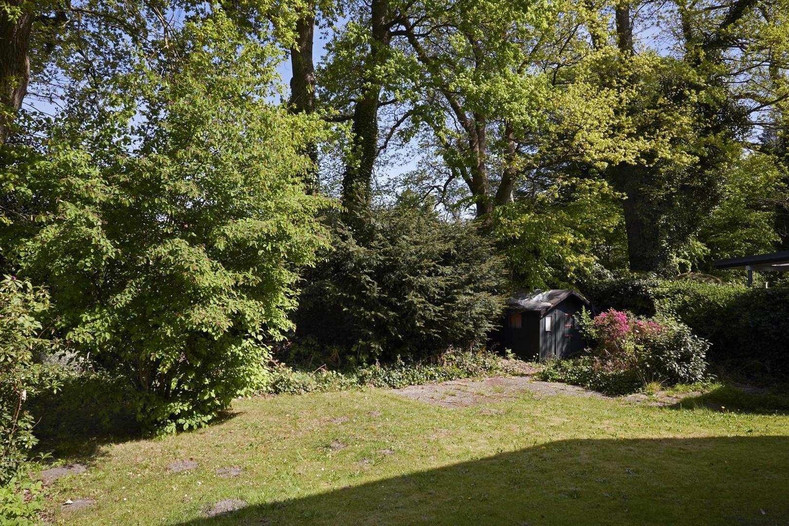 Hintergarten belaubt