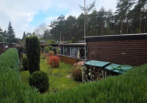 Grundstücksrückansicht über die Hecke vom Nachbarn aus