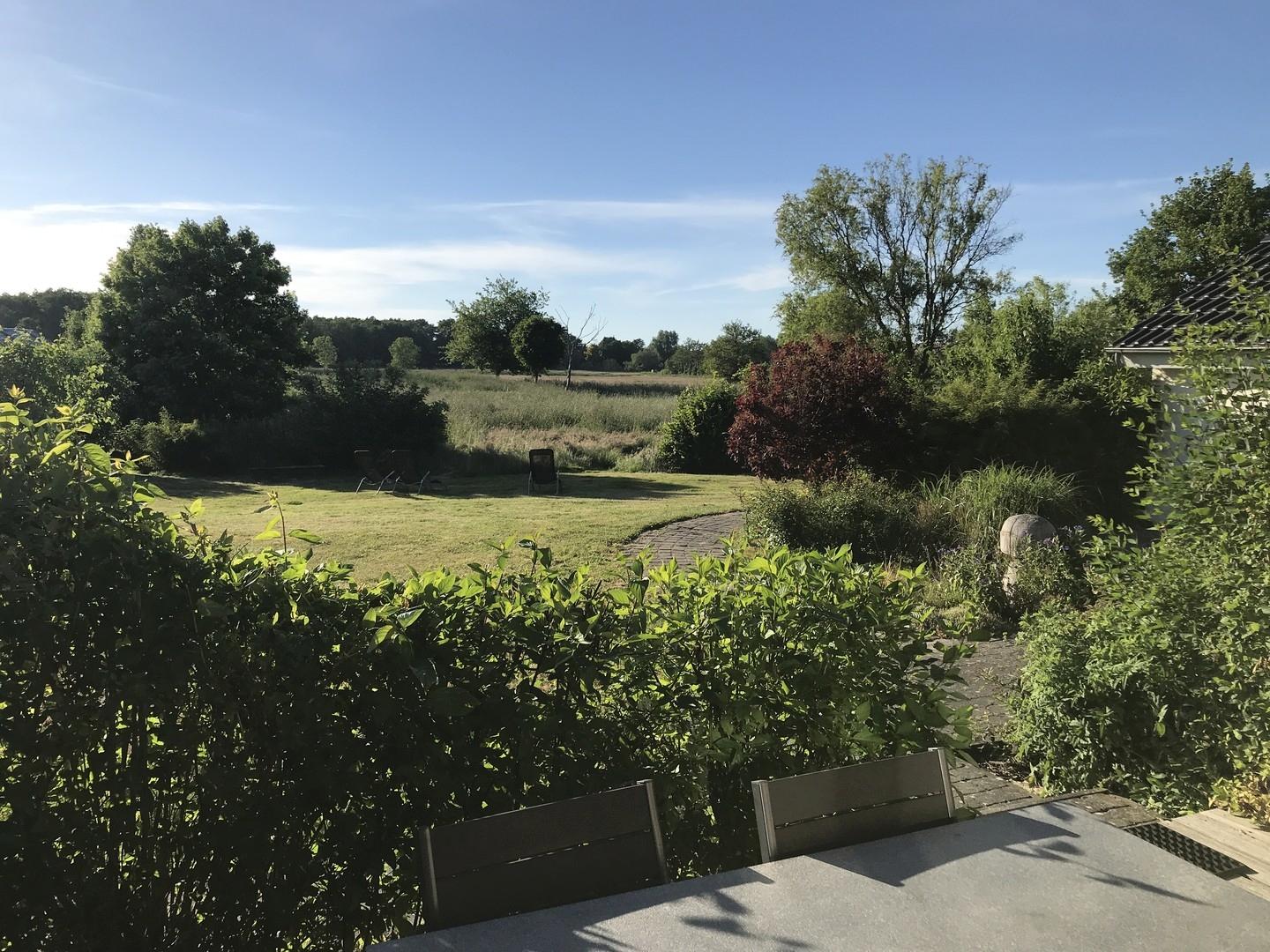 Blick von Terrasse 2