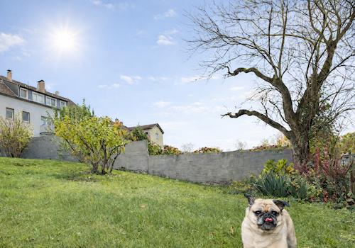 Gartenparadies