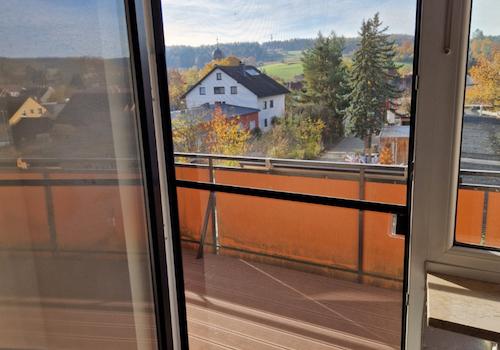 Balkontür mit Fliegengitter - Fernsicht
