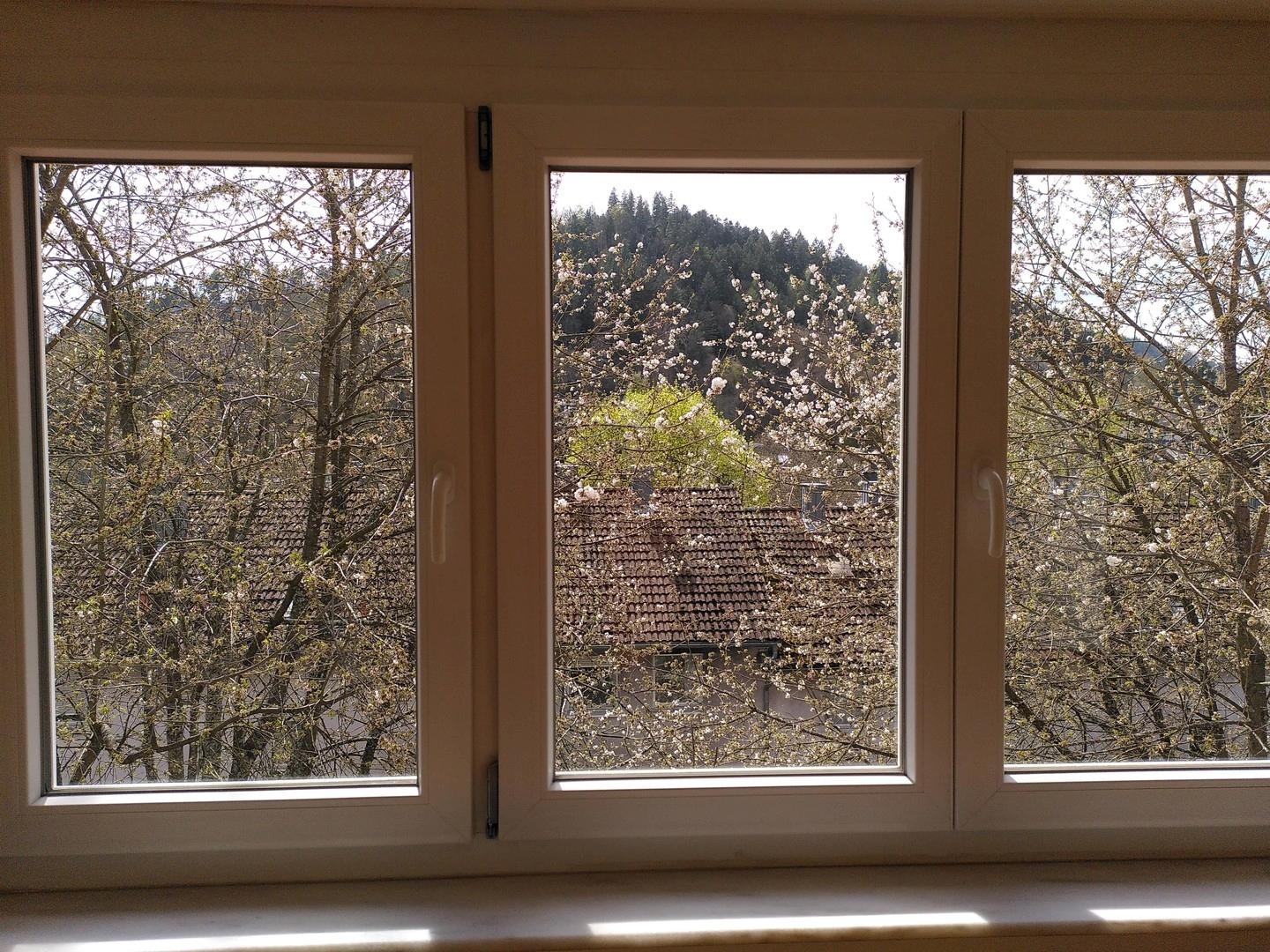 Blick aus Wohnzimmer