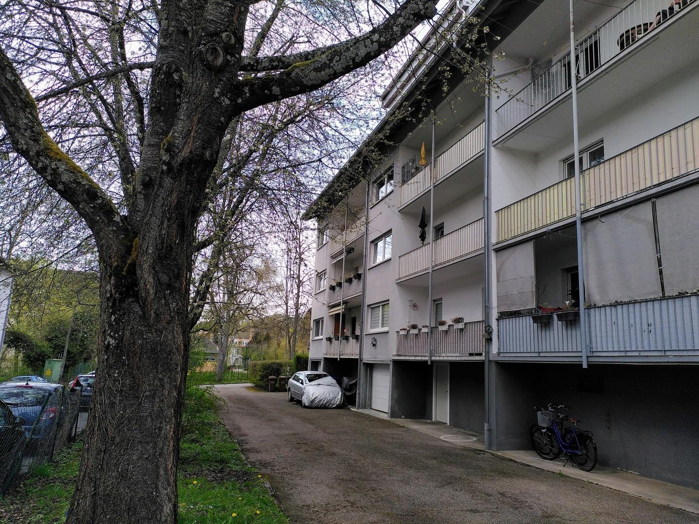 Rückseite