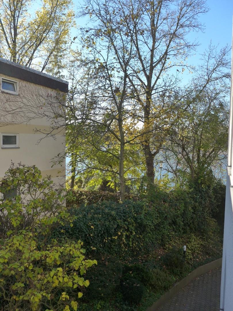 Blick zum Rhein aus Küche