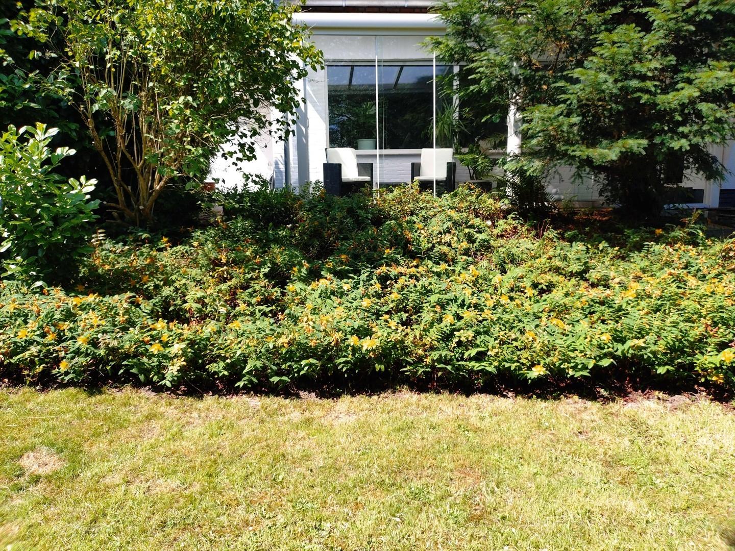 Blick in Wintergarten