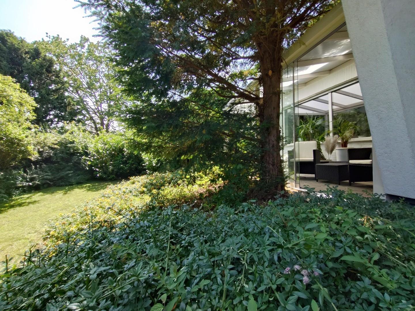 Blick in Wintergarten