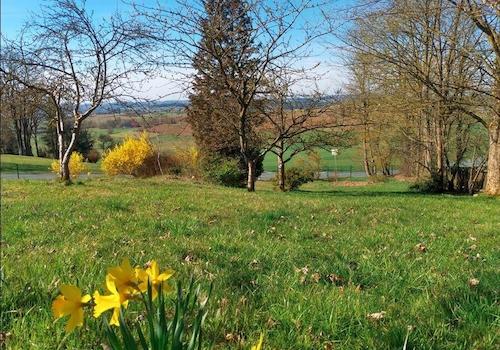 Gartenausblick Richtung Süd