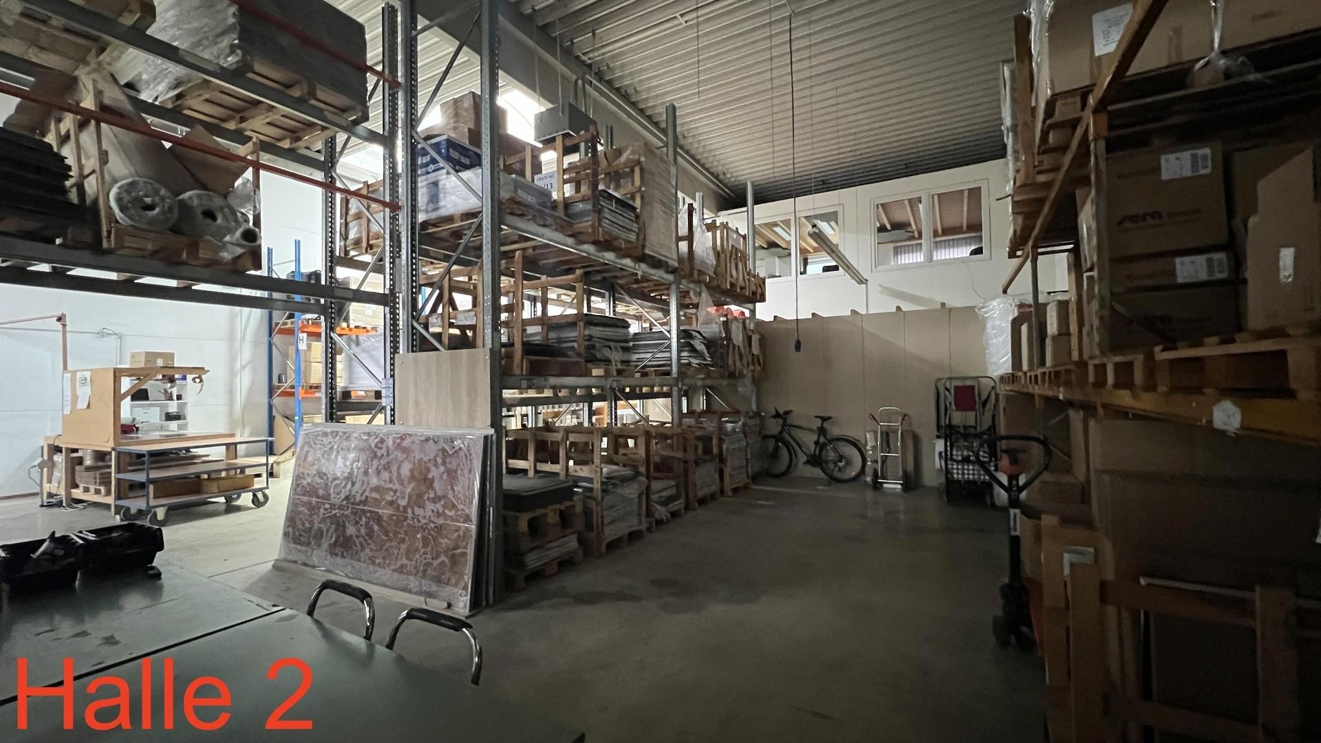 Halle 2 Hallenfläche