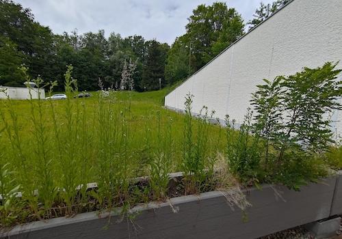 Großzügige Terrasse