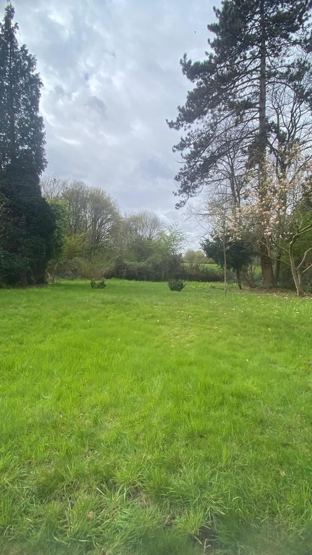 Grünblick vom Wintergarten