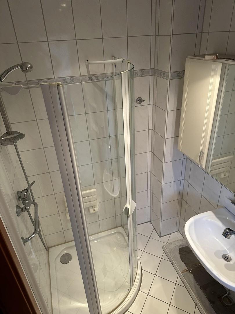 EG WC mit Dusche