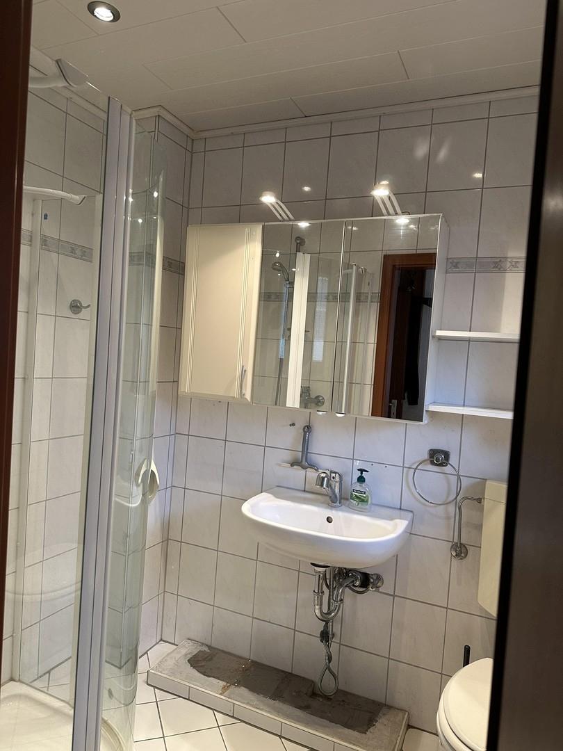 EG WC mit Dusche 2