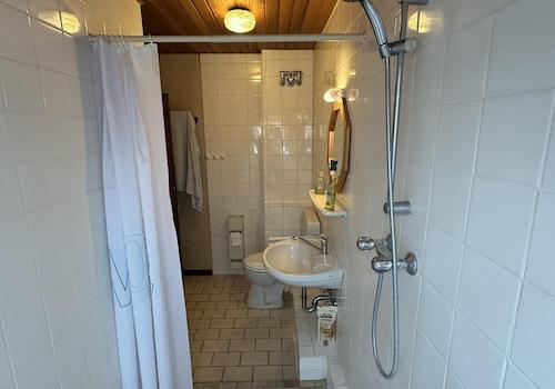 DG WC mit großer Dusche 3