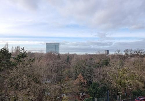 Blick DG
