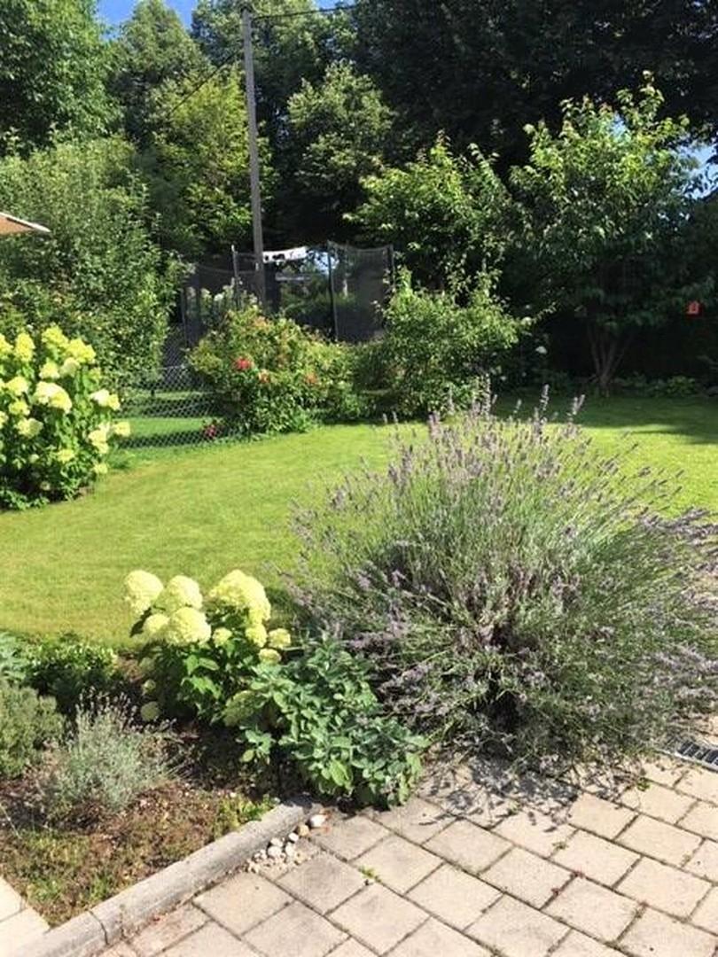 Blick zum Garten