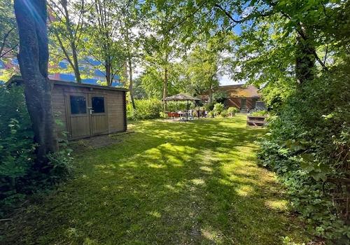 Blick in den Garten