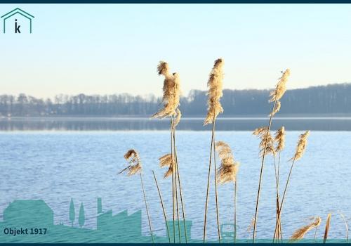 1917 Blick über den See vom eigenen Steg 