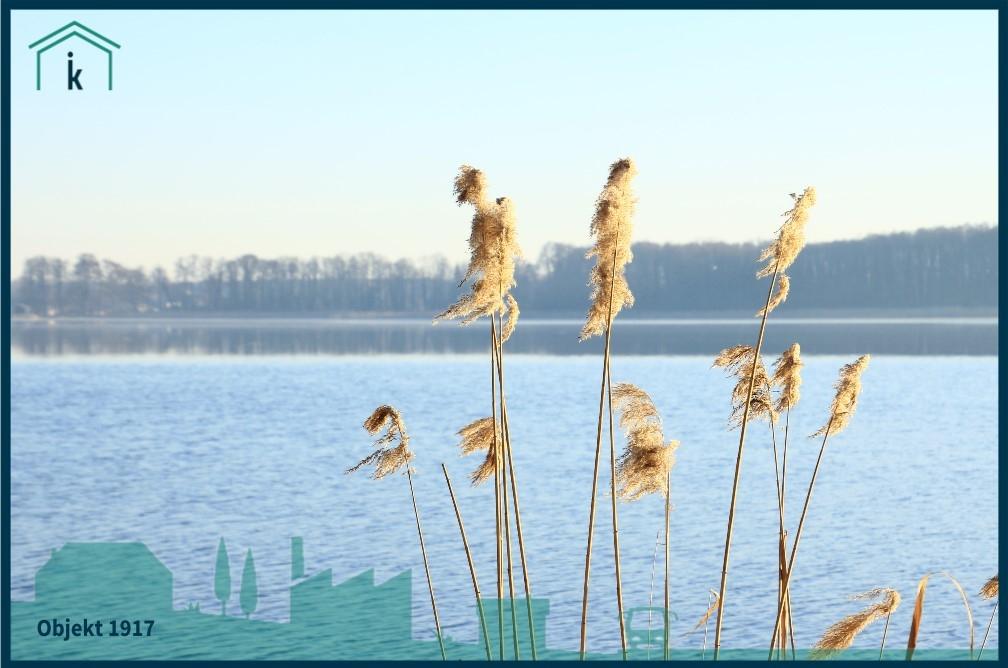 1917 Blick über den See vom eigenen Steg 