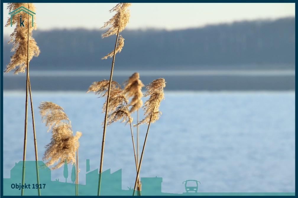 1917 Blick über den See 