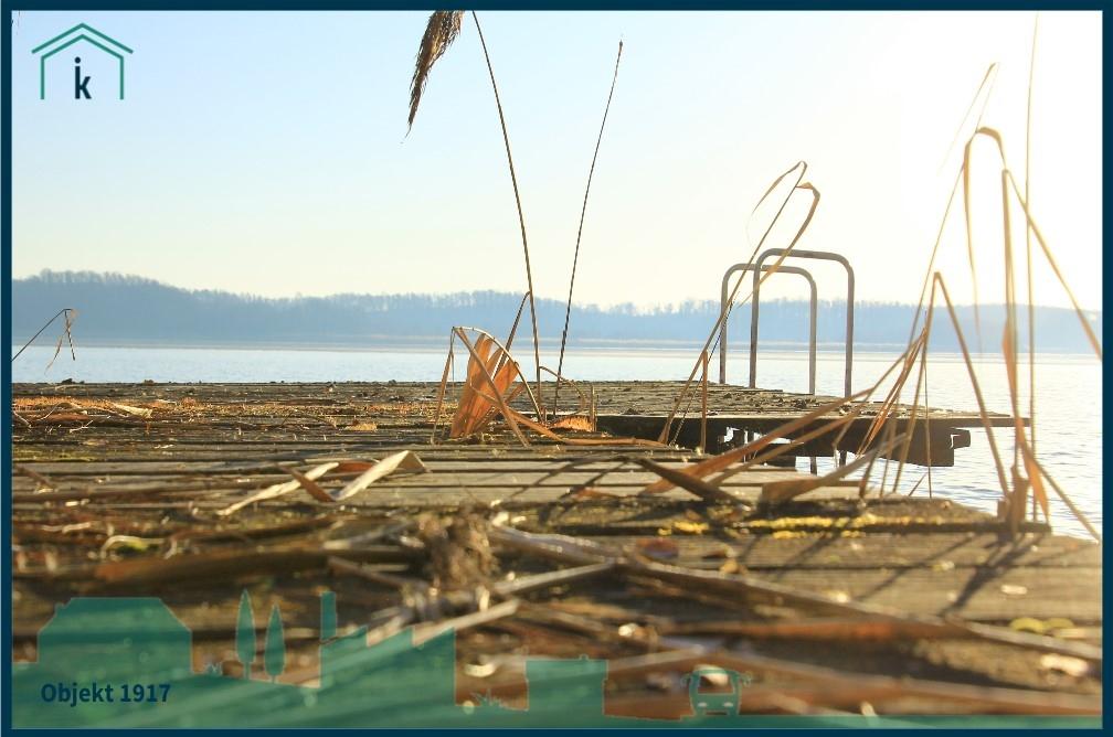 1917 Steganlage im Dornröschenschlaf 