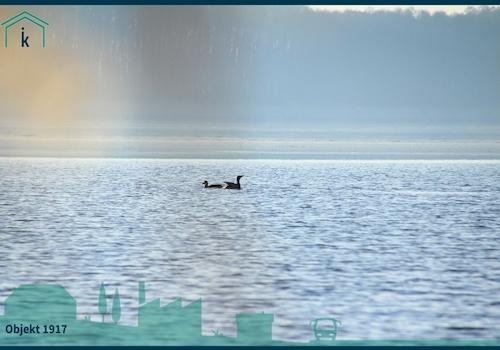 1917 Blick über den See Naturschauspiele inklusive