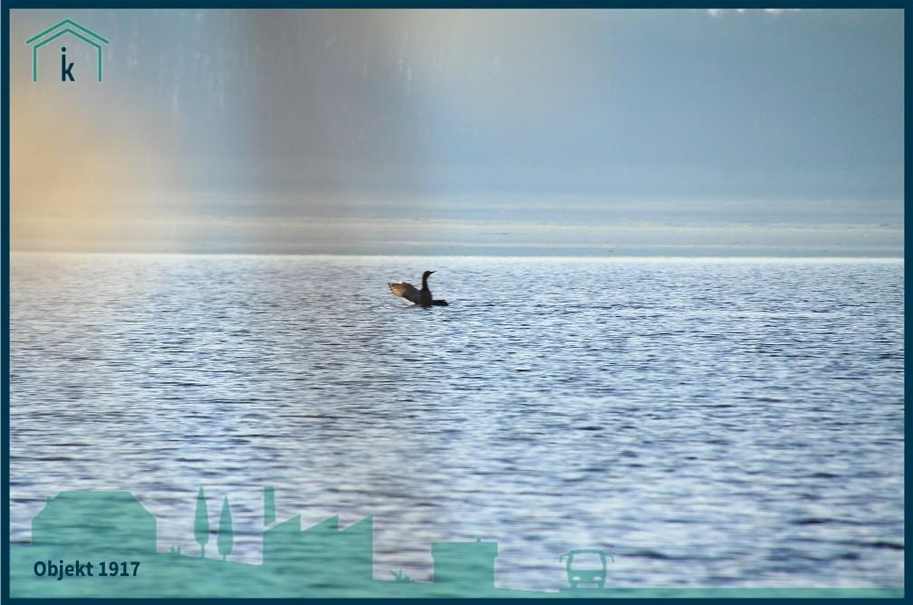 1917 Blick über den See viele Eindrücke