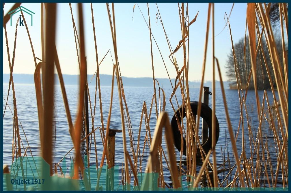 1917 Blick über den See, Bootsplätze vorhanden