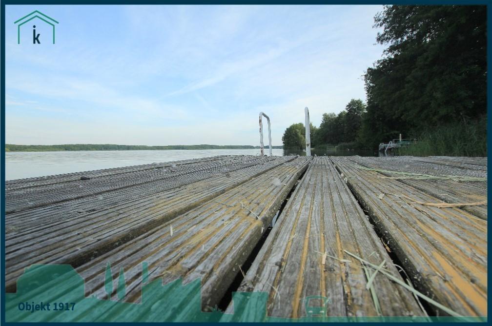 1917 Steg mit Blick über den See