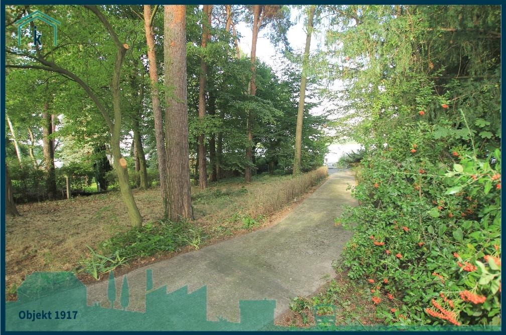 1917 Weg zum Wasser 2