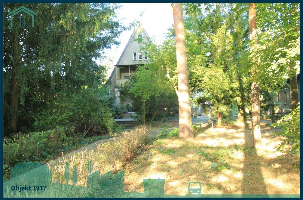 1917 Blick vom See zur Villa 