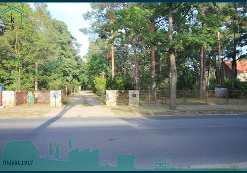 1917 Zufahrt Straßenansicht