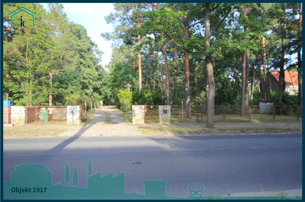 1917 Zufahrt Straßenansicht