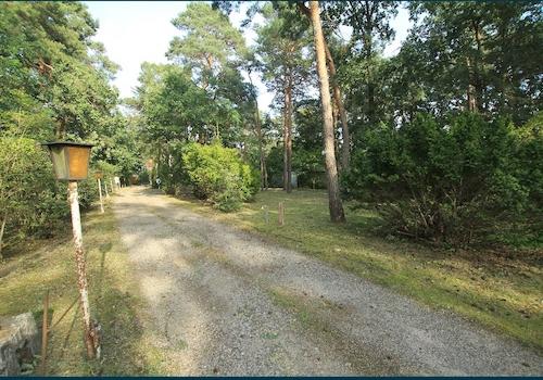 1917 die lange Zufahrt