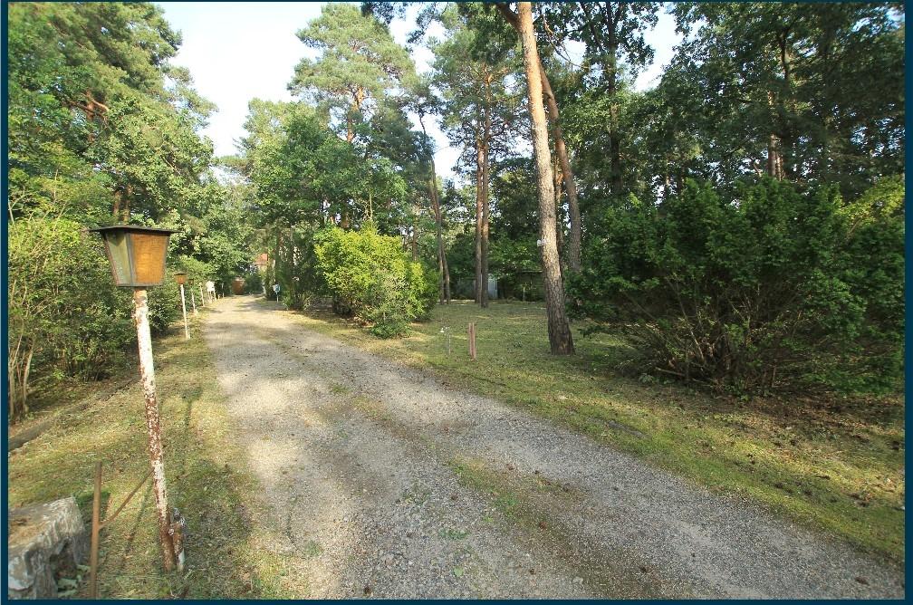 1917 die lange Zufahrt