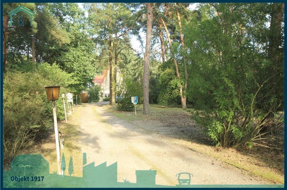 1917 Zufahrt