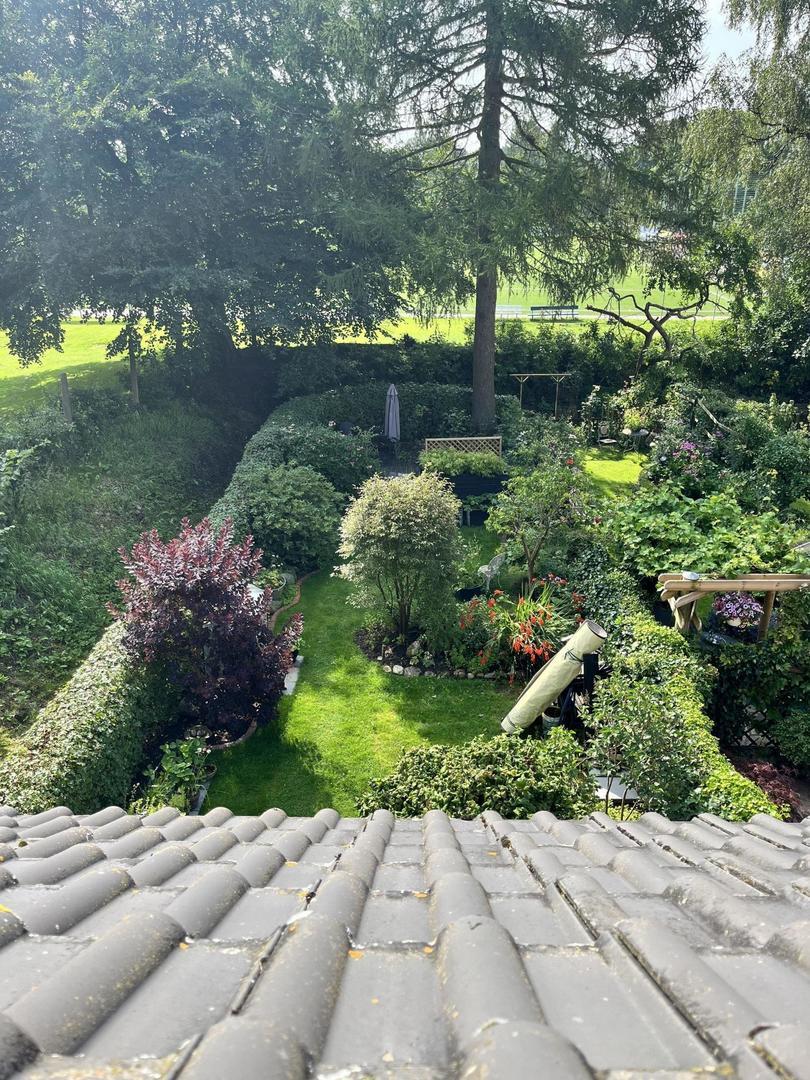 Blick vom Dachfenster in den Garten