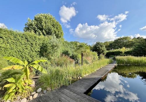 Steganlage und Schwimmteich