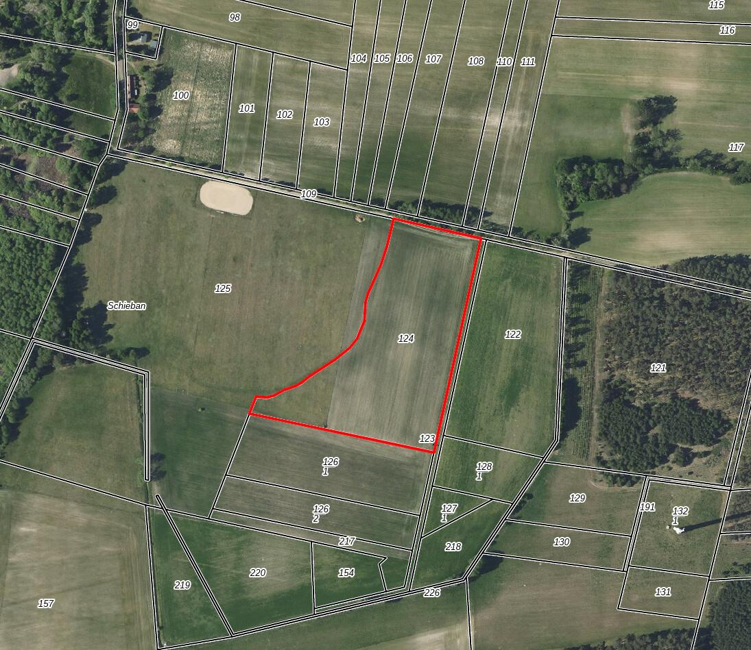 Flurstück 124; Flur 2; Gemarkung Caminchen