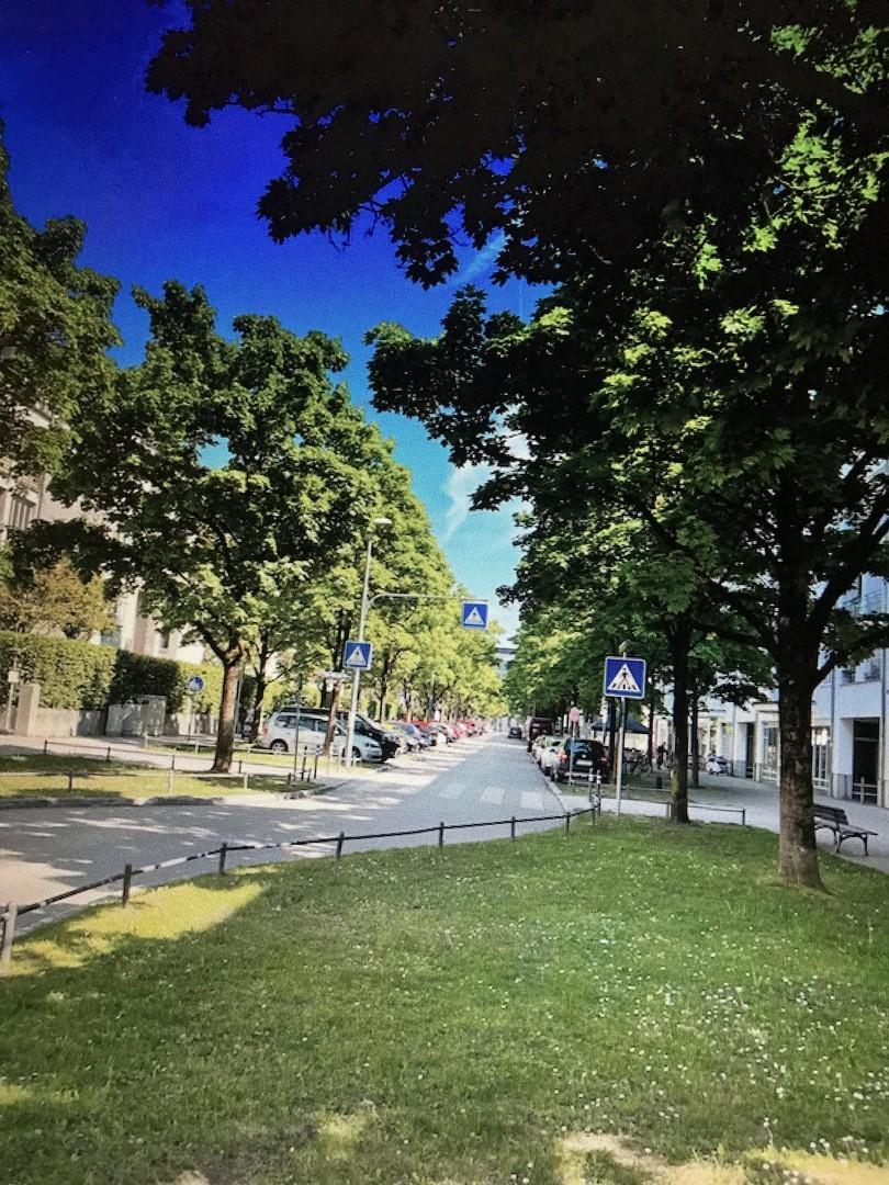 Ruhige Anlieger Allee