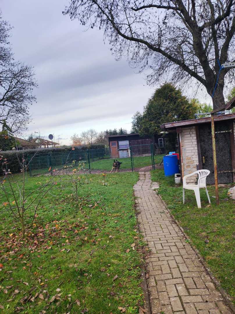 Garage 3 mit Schuppen