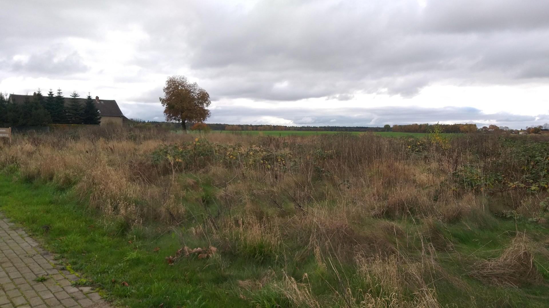 Blick von der Strasse n. West