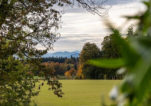 Blick über die Felder