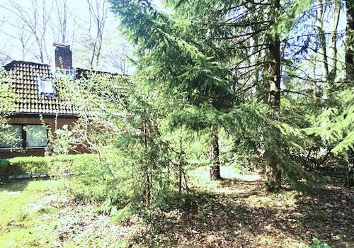 Mietobjekt 1. Roter Klinker