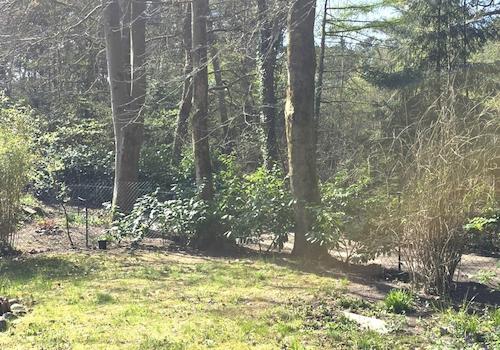 Garten Mietobjekt 1.