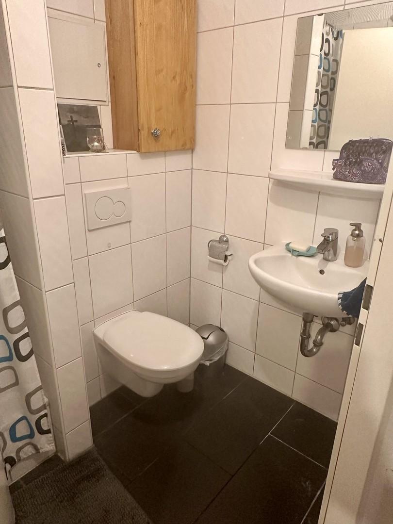 Gäste WC mit Dusche