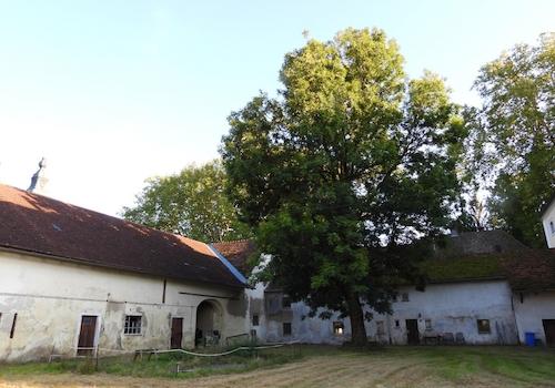 Stallflügel - Verbindungsbau